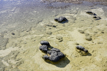View of microbial mats stromatolites at the Hamelin Pool in Shark Bay, World Heritage area, Western Australia