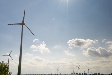 elektrownia wiatrowa  © _maciej_