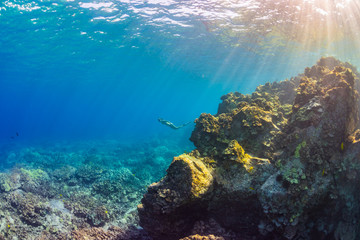 Fototapeta na wymiar Woman in bikini snorkeling over reef in clear blue ocean water