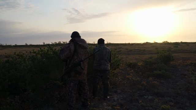 hunters hide behind a cedar bush, watching the prey at sunrise