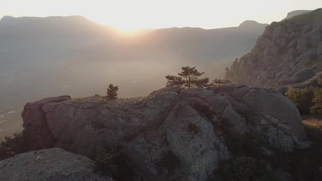 Aerial view pine on the cliff of the mountain againist sunset. Crimea