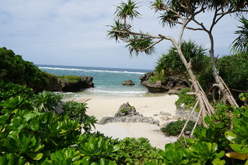 沖縄の海