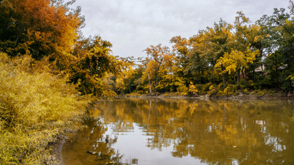 Autumn River