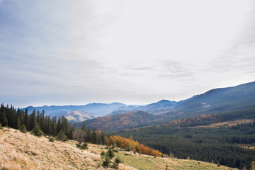 landscape of autumn mountains, Ukrainian Carpathians, Spitz Mountain