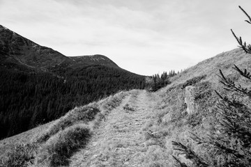 landscape of autumn mountains, Ukrainian Carpathians, Spitz Mountain
