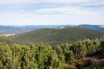 landscape of autumn mountains, Ukrainian Carpathians, Spitz Mountain