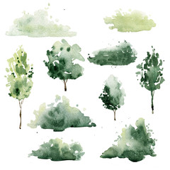 watercolor trees and shrubs