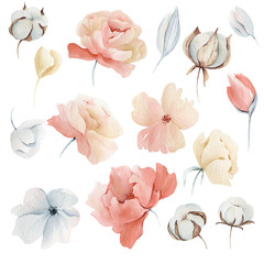 watercolor winter pink flowers