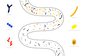 Vector isolated illustration of probiotics