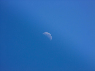 beautiful photograph of the moon in space