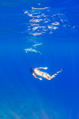 Woman in bikini swimming with dolphins in ocean