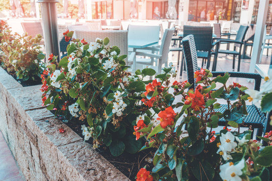 View of the old cozy street in Europe . Street view in a traditional cafe sitting outdoors decorated with begonia flowers