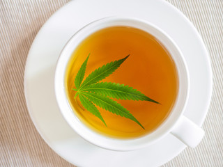 tea with marijuana. Cannabis leaf is brewed in herbal decoction to treat pain and increase appetite. concept of marijuana use for medicinal purposes.