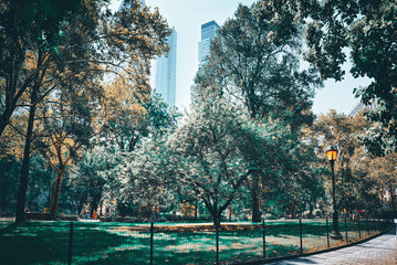 Madison Square Park on 5th Avenue. Urban views of New York.