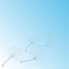 Hand drawn pattern. Vintage paper art illustration with black dandelion on soft white background. Abstract ornamental floral background. Dandelion in abstract style