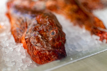 frozen fish red