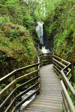 Glenariff Forest Park Antrim Irlandia