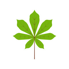 Isolated abstract flat logo green color chestnut leaf.