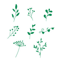 set of flowers on the white background. flowers doodle . Hand dawn. Vector EPS 10.	