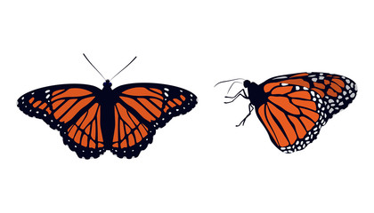 Collection Bright orange monarch butterflies.
