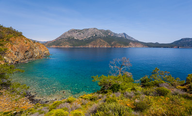 Fototapeta na wymiar beautiful emerald sea bay with rocky coast, summer sea background