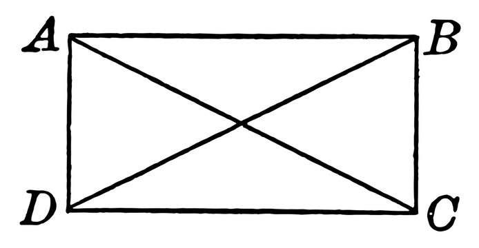 Rectangle With Diagonals vintage illustration.