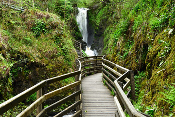 Glenariff Forest Park Antrim Irlandia