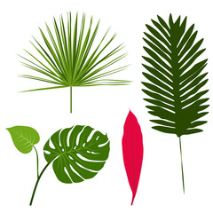 Four tropical leaves. illustration in flat style.