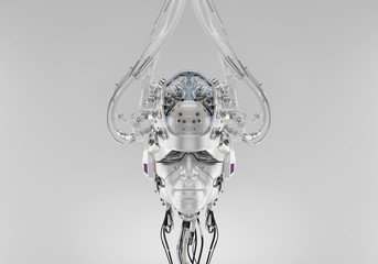 Humanoid robotic head with visible brain connected with wires and tubes, 3d render / Connected head with brain