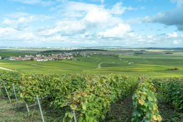 Champagne region in France. A beautiful view.