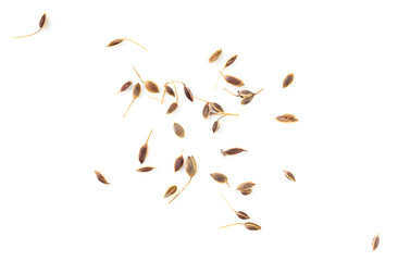 Dill seeds isolated on a white background