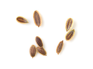 Dill seeds isolated on a white background