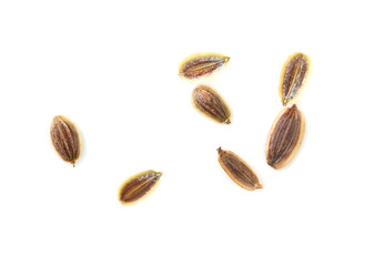 Dill seeds isolated on a white background
