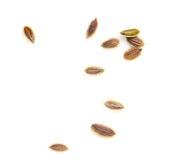 Dill seeds isolated on a white background