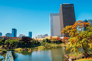 Fototapeta na wymiar Japanese traditional garden Kyu Shiba Rikyu Garden at autumn in Tokyo, Japan