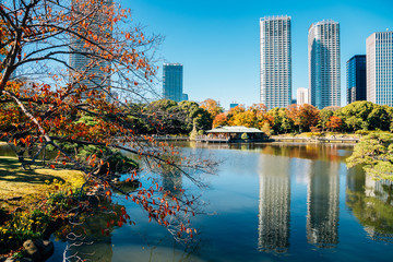 Hamarikyu Gardens, pond and modern buildings at autumn in Tokyo, Japan
