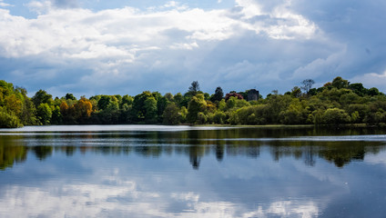 landscape with lake and trees