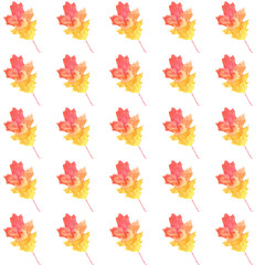 Plakat watercolor autumn leaves pattern background