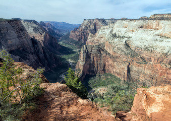 Observation Point in Zion
