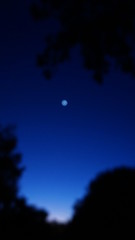 Landscape - Morning Horizon