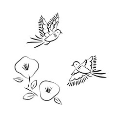 Hand drawn long tailed bird and camellia flower illustration