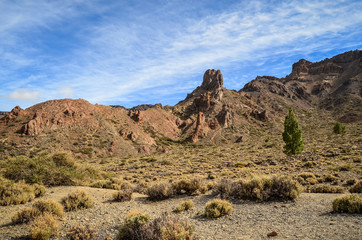 Fototapeta na wymiar Teide nationa park, Tenerife