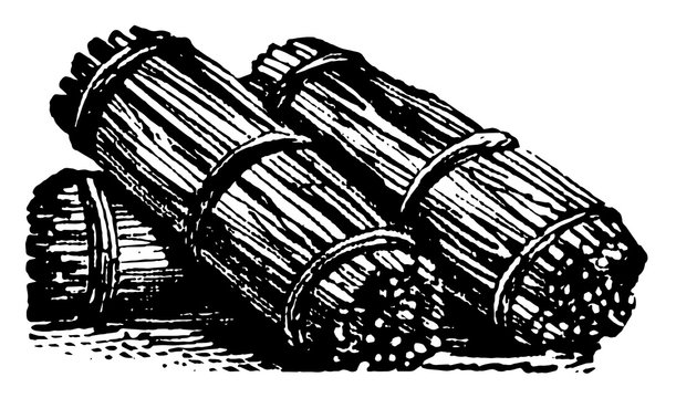 Fascine, vintage illustration.