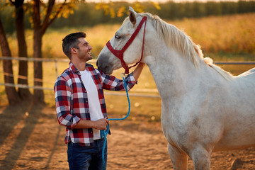 Young man and horse. Man have a hobby time, riding. Horses concept