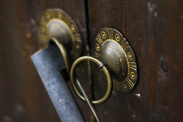 Old door with bronze lock