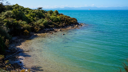 Fototapeta premium Walkway and the Beach at Anchorage Bay, Abel Tasman National Park, New Zealand