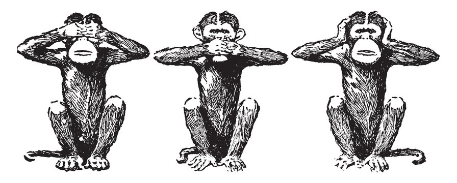 Three Wise Monkeys, vintage illustration.