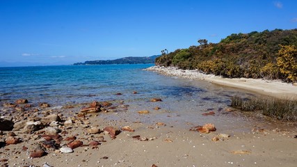 Walkway and the Beach at Anchorage Bay, Abel Tasman National Park, New Zealand