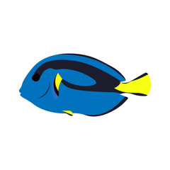 Vector aquarium fish silhouette illustration. Colorful cartoon flat aquarium fish icon for your design.