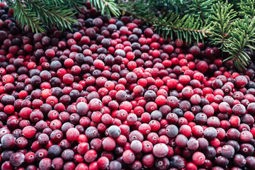 Abstract background made from frozen red cranberries. Toned image. Top view